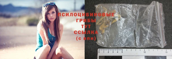 дурь Осташков
