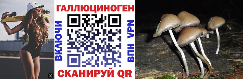 Галлюциногенные грибы Cubensis Елизово